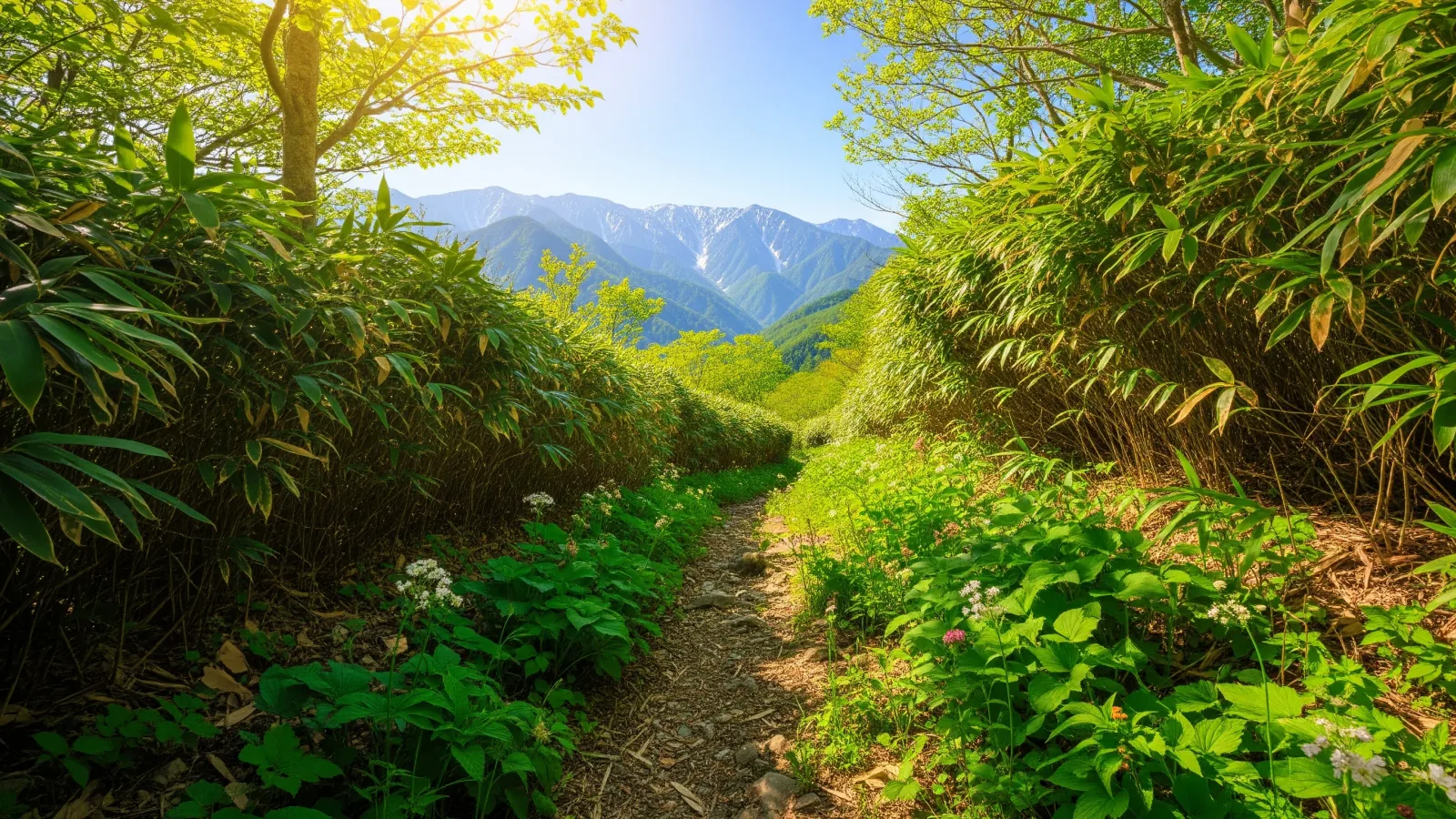 初心者におすすめの山——全国エリア別「最初の1座」10選