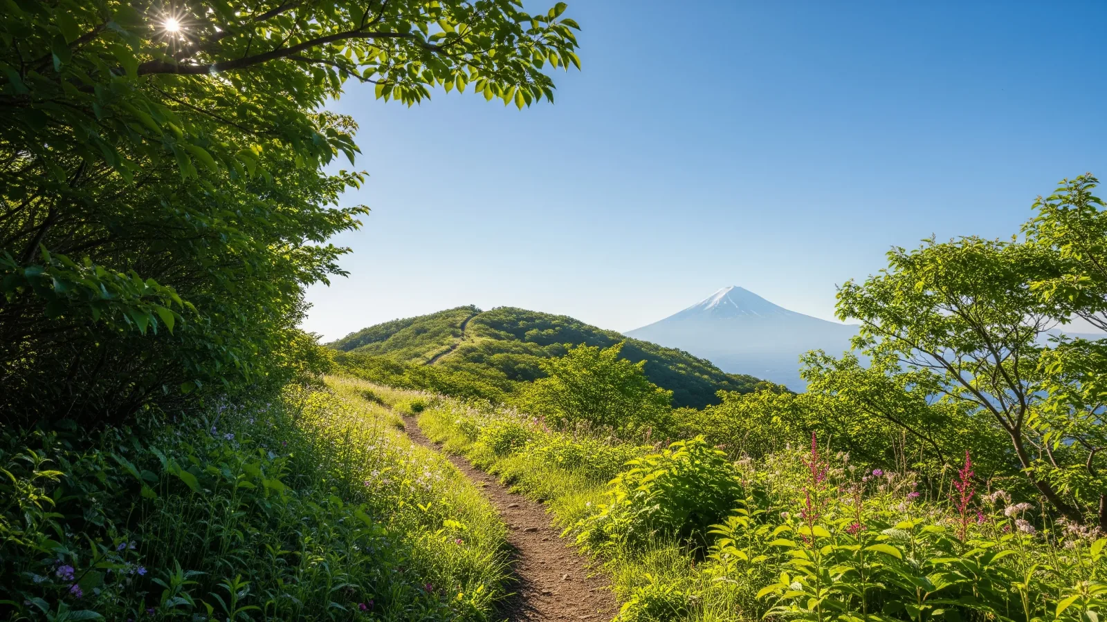 登山を始めたい人へ――最初の1座の選び方