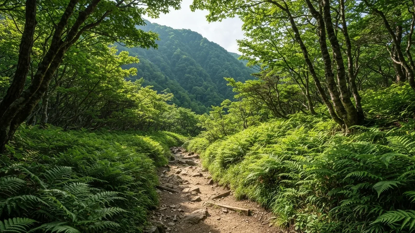 登山中のトイレはどうする？携帯トイレの使い方と山でのマナー